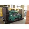 Fornecedor chinês ricardo 100kva gerador r6105zld